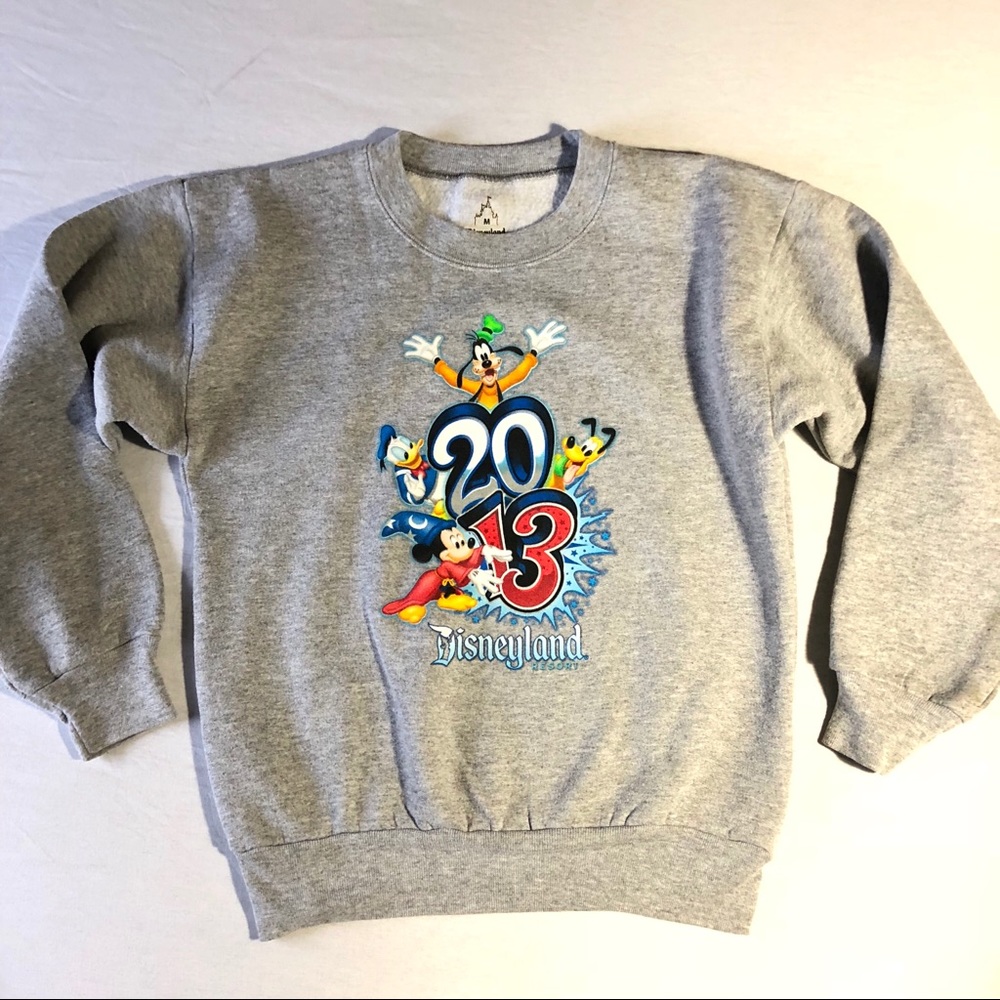 Walt Disney World youth Disneyland 2013 sweatshirt